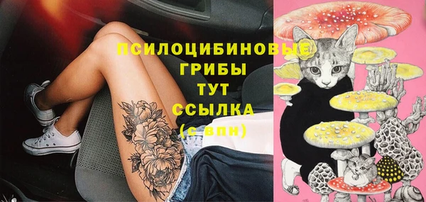 крисы Алексеевка