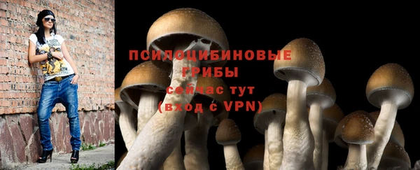 герыч Алзамай