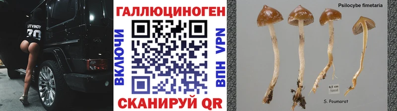 Псилоцибиновые грибы мицелий  Бийск 